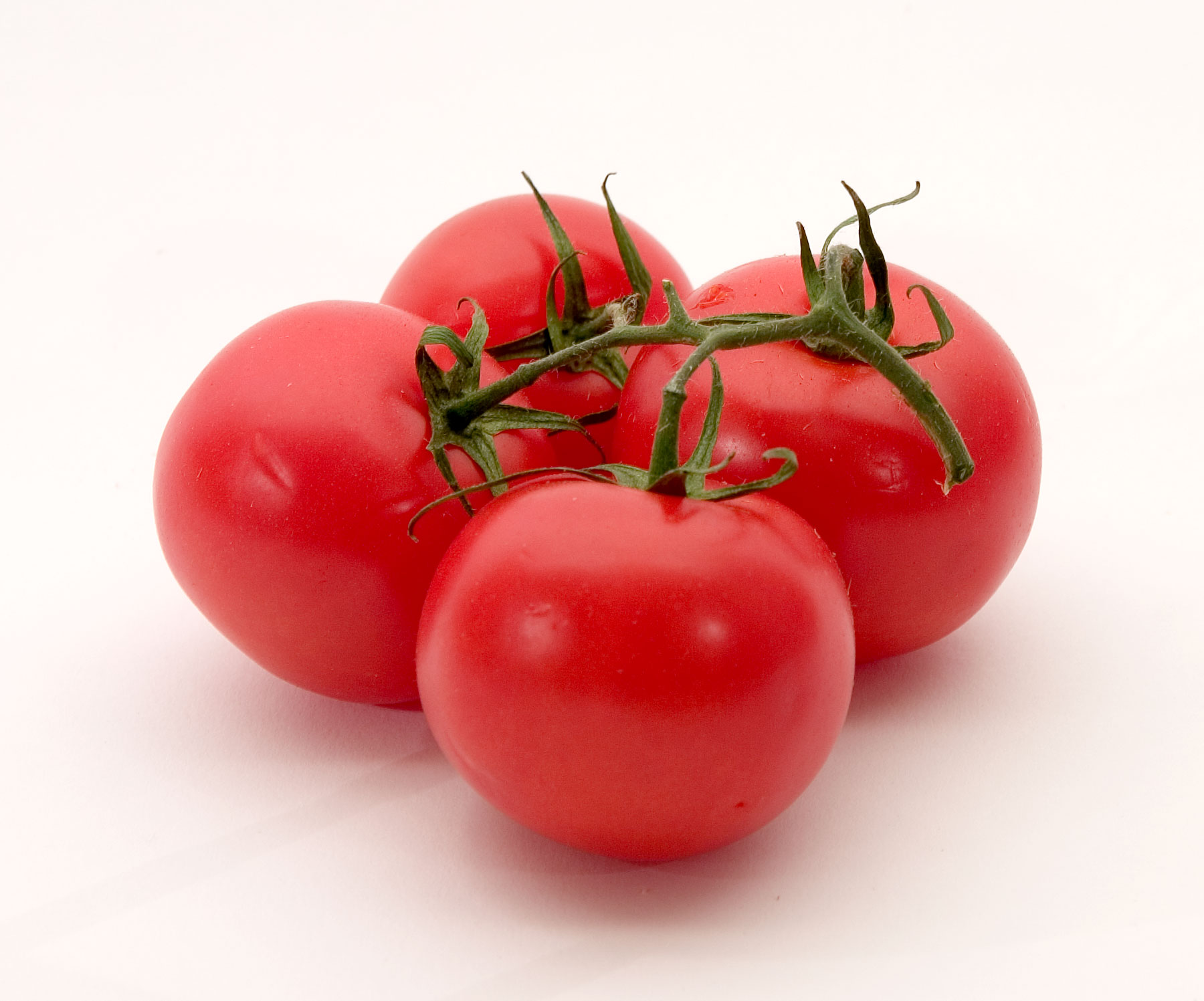 Vegetables শাক-সবজি Icon